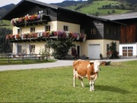 Rieserhof/Fam. MeiГџnitzer 