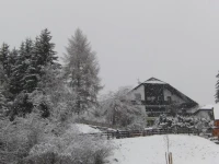 Haus Verdi 