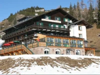 Alpen Arnika 