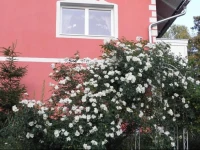 Pension Hadanig 