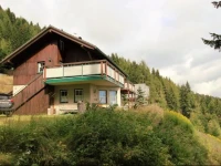 Apartment Bernsteiner 2 