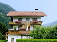 Apartment Zell am Ziller 3 
