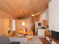 Apartment LAKE and MOUNTAIN View - Zell am See 