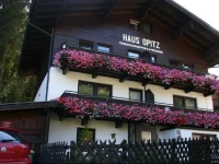 Apartment Waldhaus Opitz 
