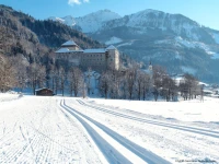 Appartement Haus Sonne 4*
