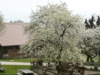 Ferienhof Grubinger 