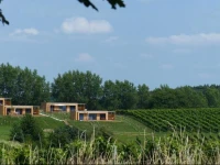 Weingarten-Resort Unterlamm Loipersdorf 