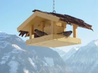 Appartements Wallner 
