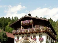 Apartment Tanja 1 