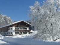 Ascherbauer 