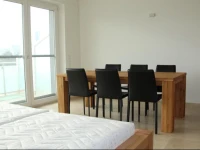 Danube Apartment with City View 