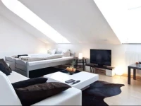 Vienna Exellent Apartments 