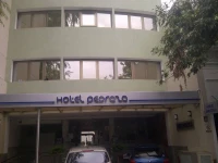 Hotel Pedraza 1*