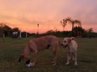 Terra y Rio 