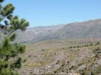 Brisas del ChampaquГ­ 