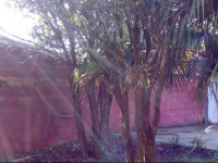 Casa Guayubira