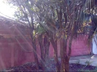 Casa Guayubira 