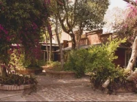 Los Arboles 