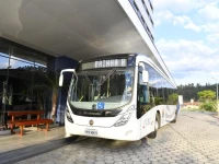 Hotel Rainha do Brasil 4*