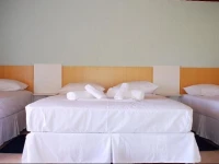 Hotel Fazenda Cisne Branco 3*
