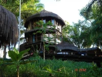 Eco Rainforest House 3*