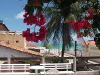 Dolphin B&B Pousada Gasthaus 