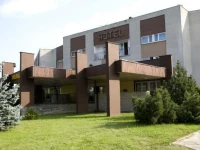 Dedal 2*