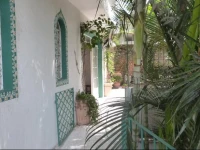 Zen Hostel Brasil 
