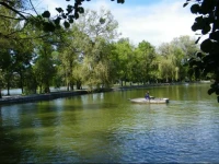 CseppkЕ‘ PanziГі 