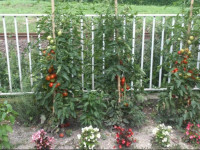Kincsem Apartman