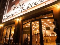Malom Club PanziГі 