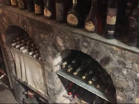 BalatoniaktГ­v 