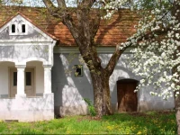 Walnut Garden - DiГіkert 