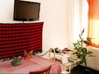 Apartment Budapest 10 