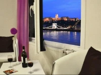Castle and Danube Panorama 