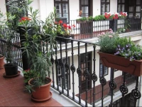 Edera Apartment 