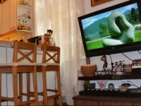 Friendly Flat 