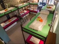 Island Hostel 