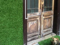 Multipass Hostel 