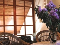 Orosz ApartmanhГЎz Gyula 