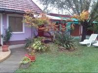 Vigyi Apartman Gyula