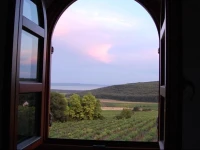 Dorgicse Vista 