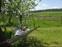 ErdЕ‘smecske VendГ©ghГЎz 