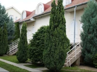 Domino Apartmanok 