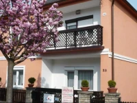 Apartment Heviz 11 