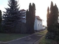 HГ©vГ­zi fecskefГ©szek 
