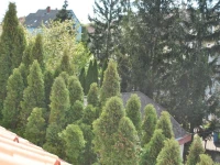 I love Heviz Apartments 