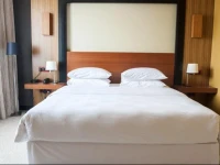 Four Points by Sheraton KecskemГ©t Hotel Г©s KonferenciakГ¶zpont 