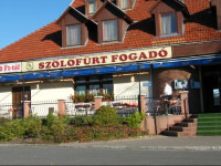 SzЕ‘lЕ‘fГјrt FogadГі