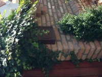 BogyГіlak Palkonya 